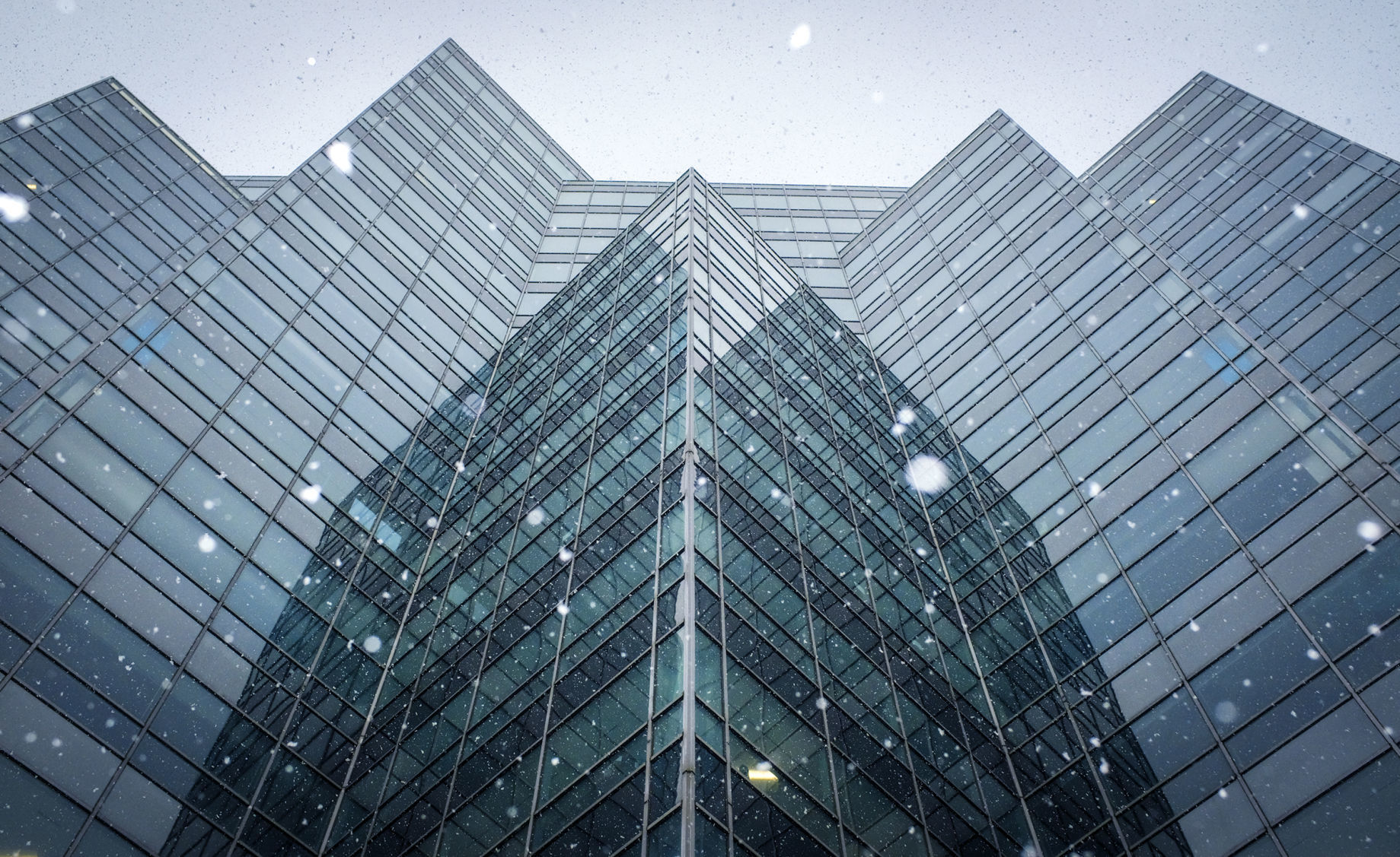 SnowFeature